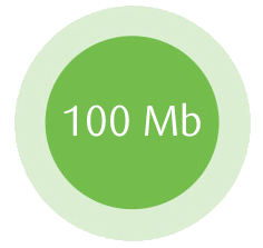 100 Mb